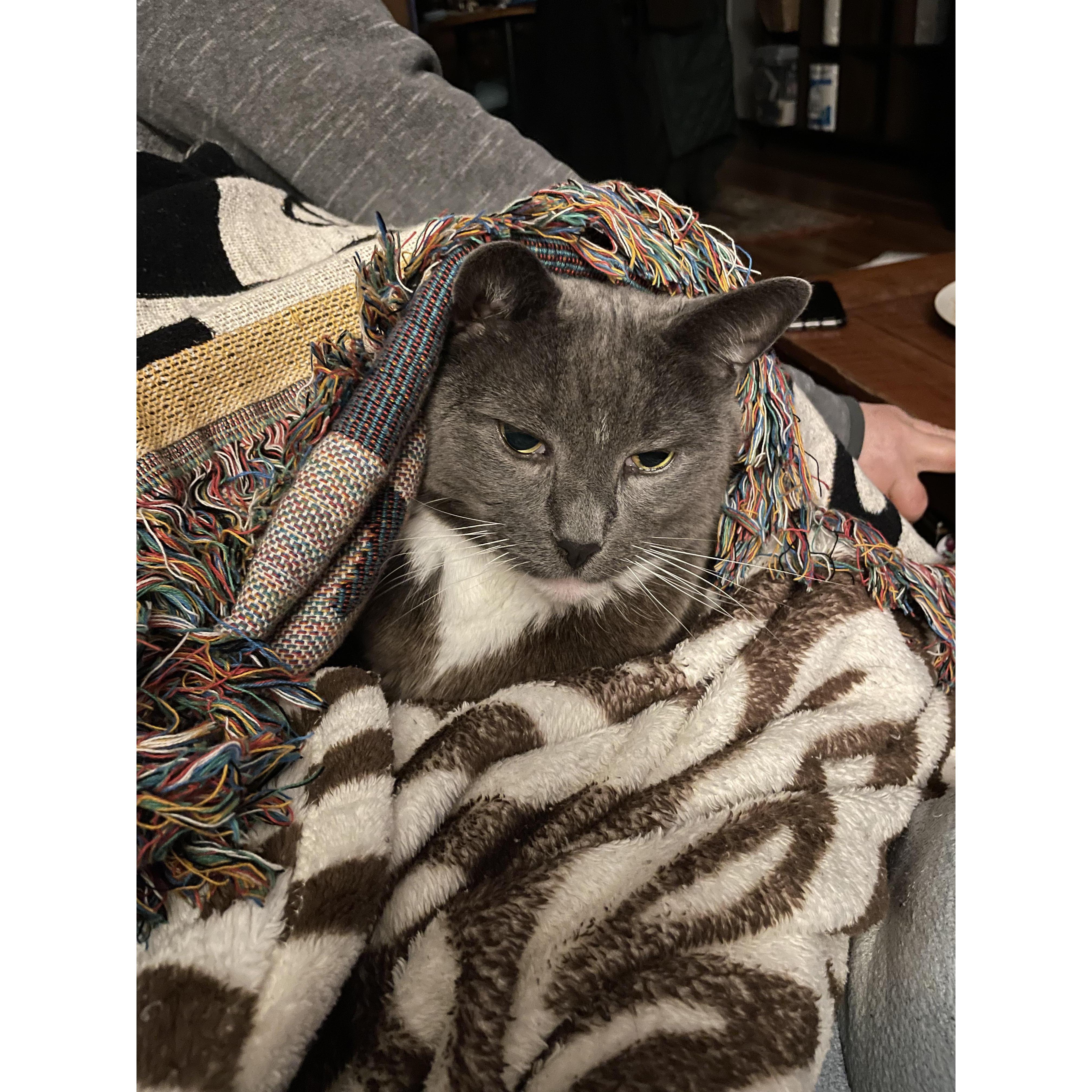 The cuddle monster