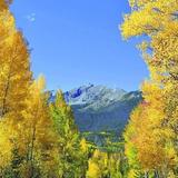 Breckenridge
