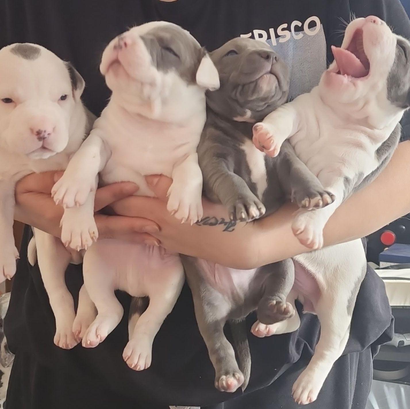 Our First Grandchildren