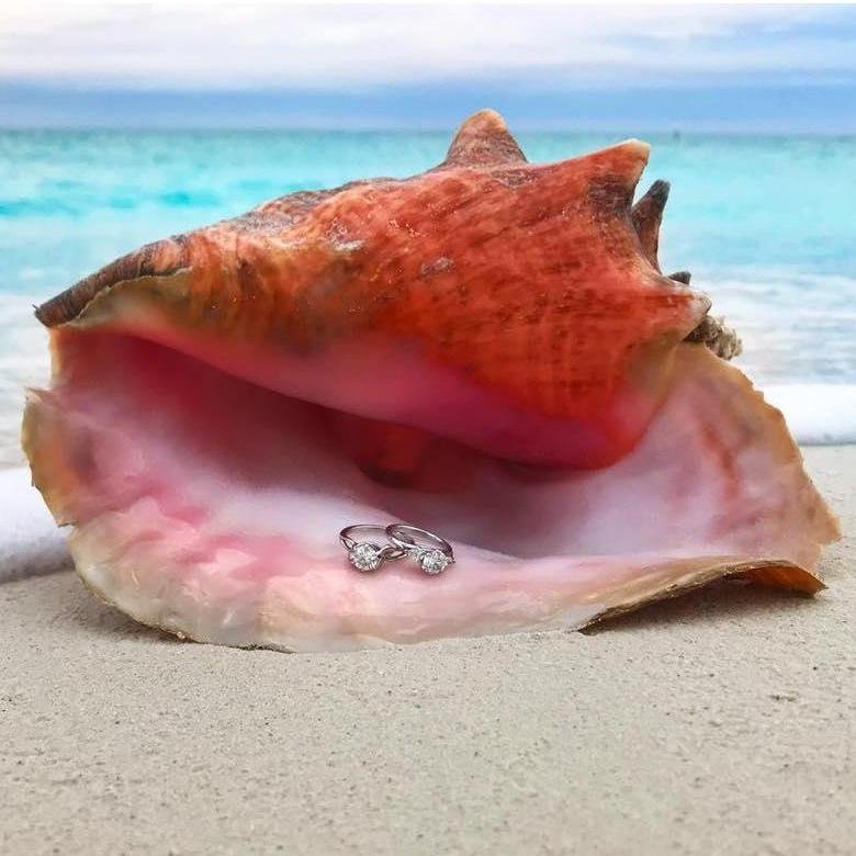 Engagement rings in a found Conch shell at Turks & Caicos.