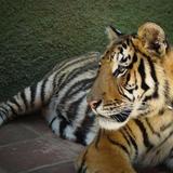 Zoo de Castellar
