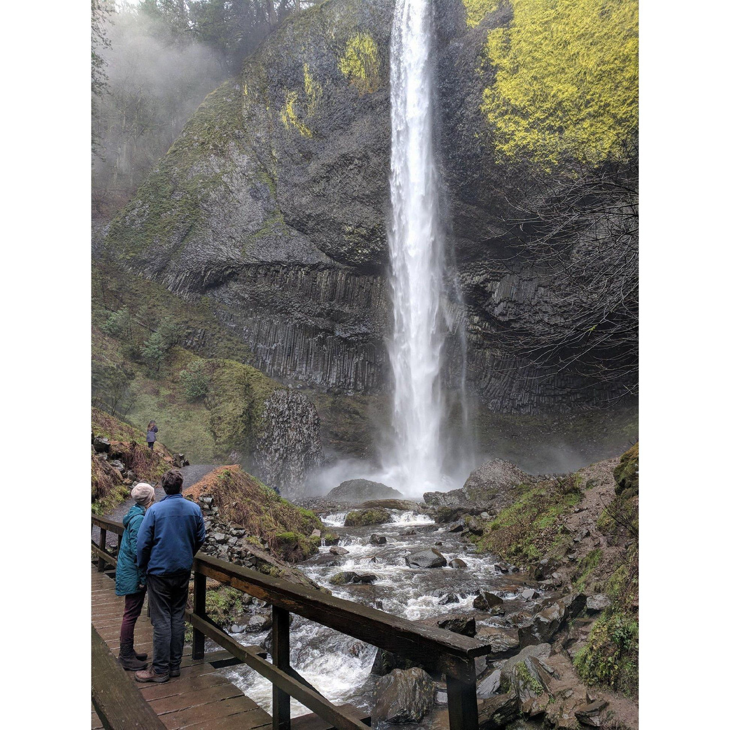 A stunning picture at Latourell falls, taken taken by Shannon in Feb 2018
