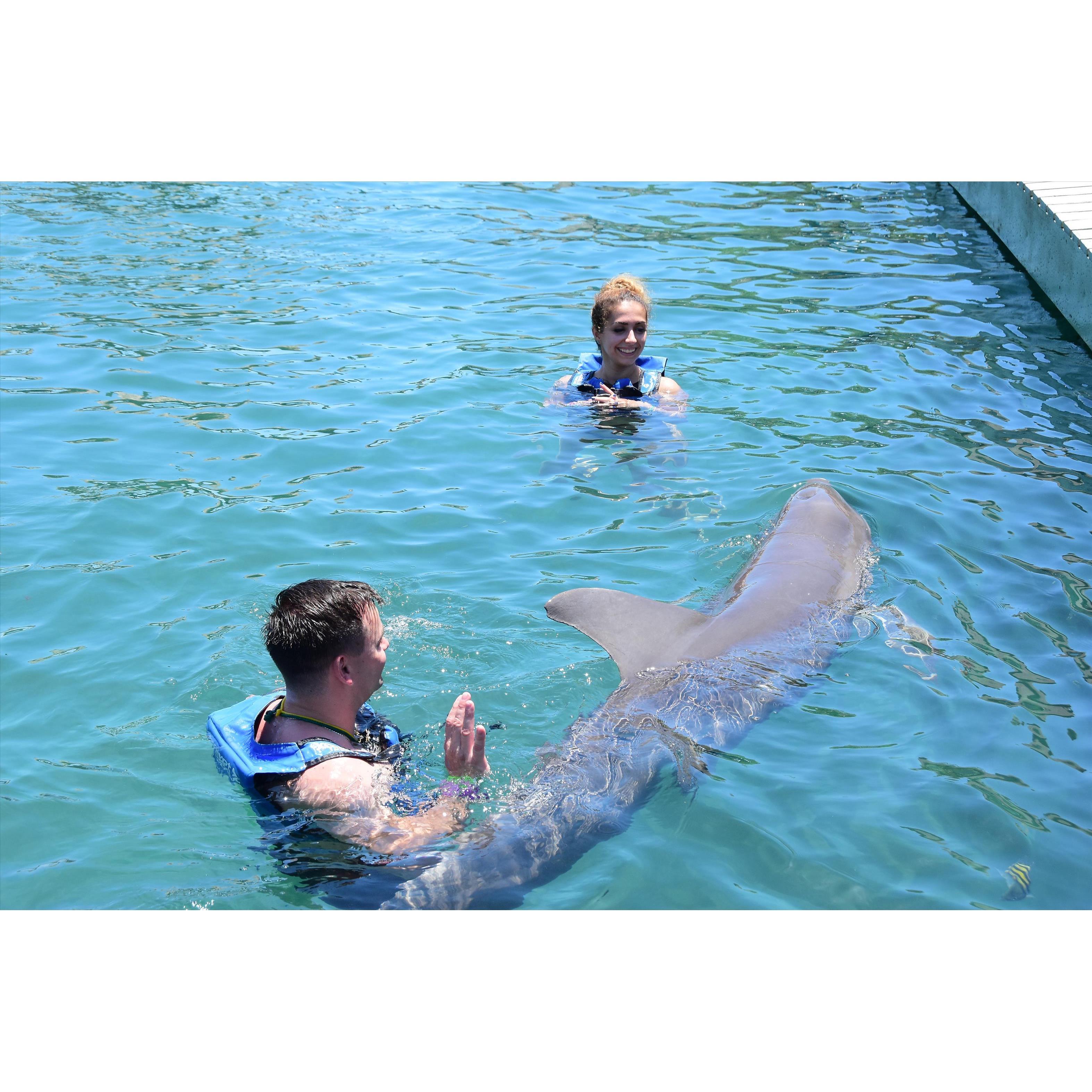 Swimming with a Dolphin in Xcaret
