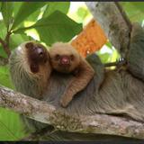 Manuel Antonio National Park