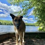 Tuscarora State Park