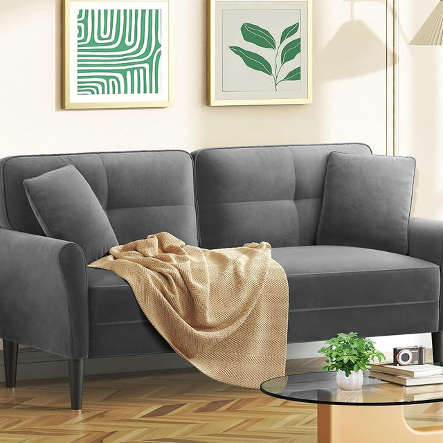 69" Small Sofa, Soft Small Couch with 2 Pillows, Comfy Love Seat Couches, Tool-Free Setup Loveseat Sofa, 700lb Load Sofas for Living Room, Cozy Couches for Living Room, Mini Couch for Bedroom, Grey