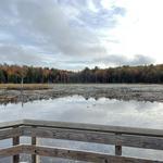 Willie Wildlife Marsh Trail