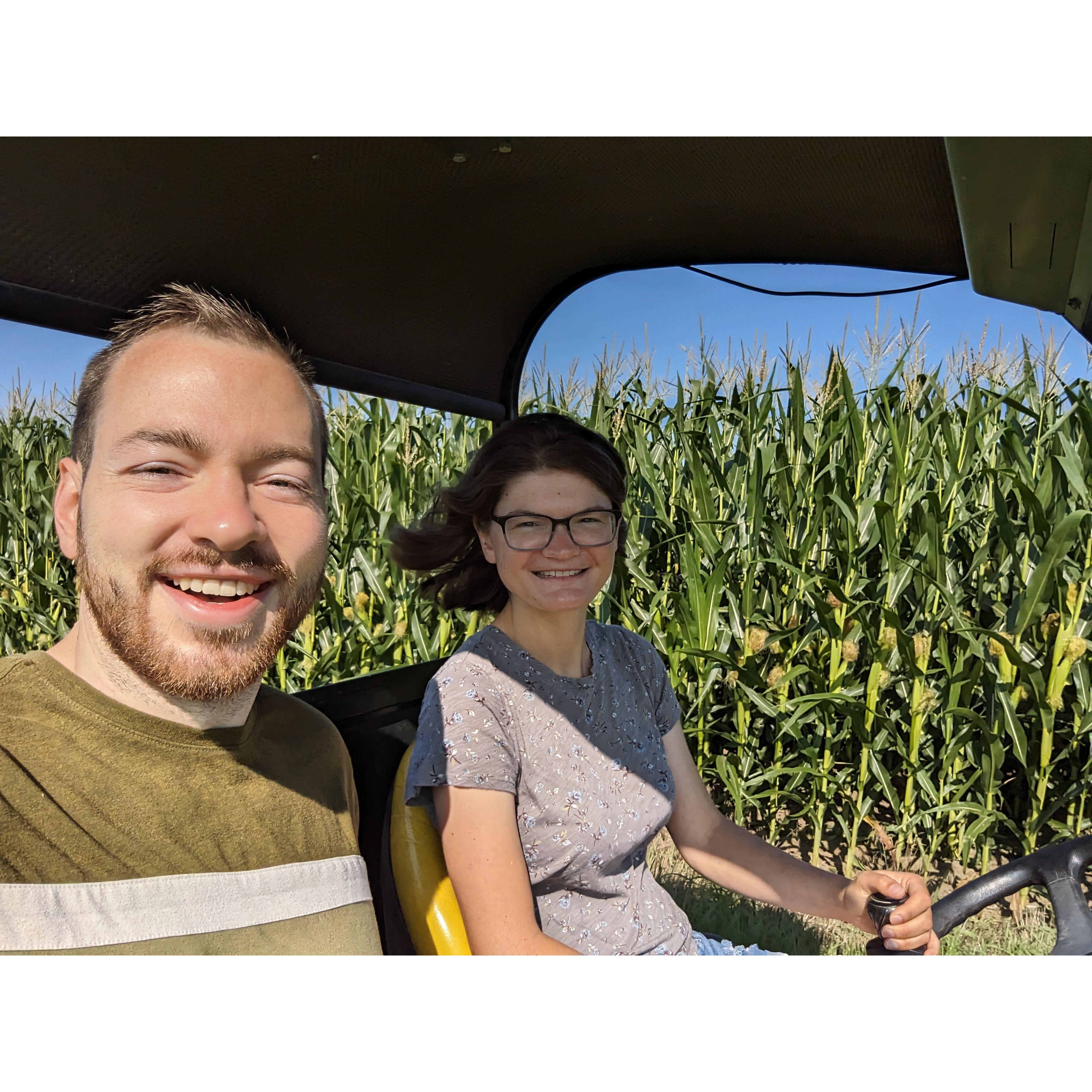 Jacey in her happy place! The cornfields of central Illinois.