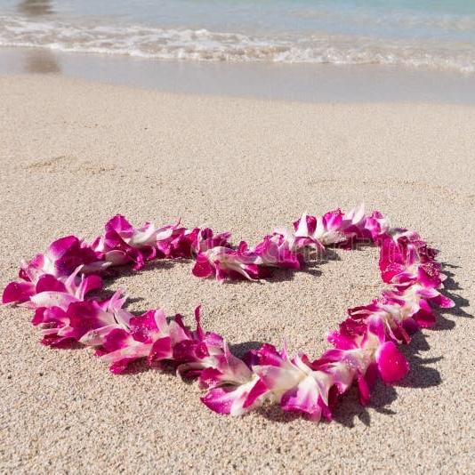 Honeymoon Resort