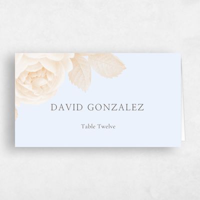 Sky, Blue Wedding Place Card - Milna