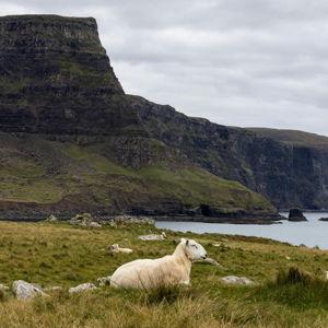 Isle of Skye Hotel