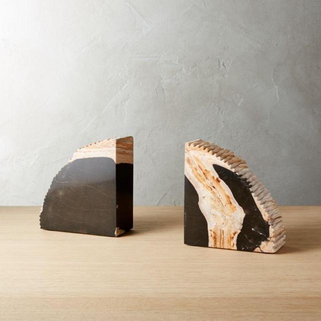 Petrified Wood Bookends Set of 2
