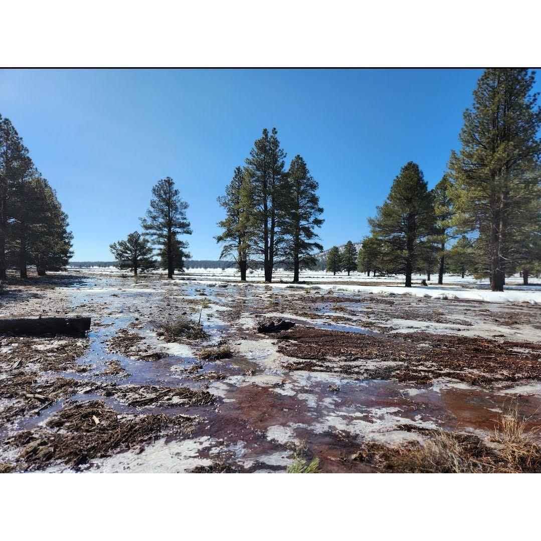 Our first snow camp at the falls