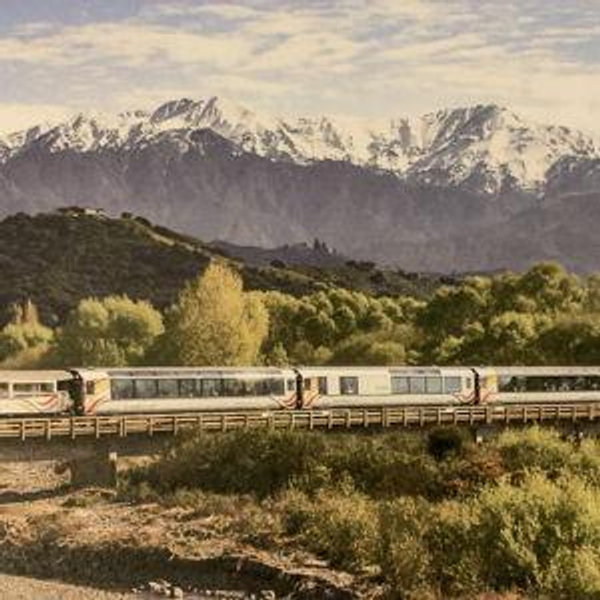 Coastal Pacific Train Ride from Kaikoura to Christchurch