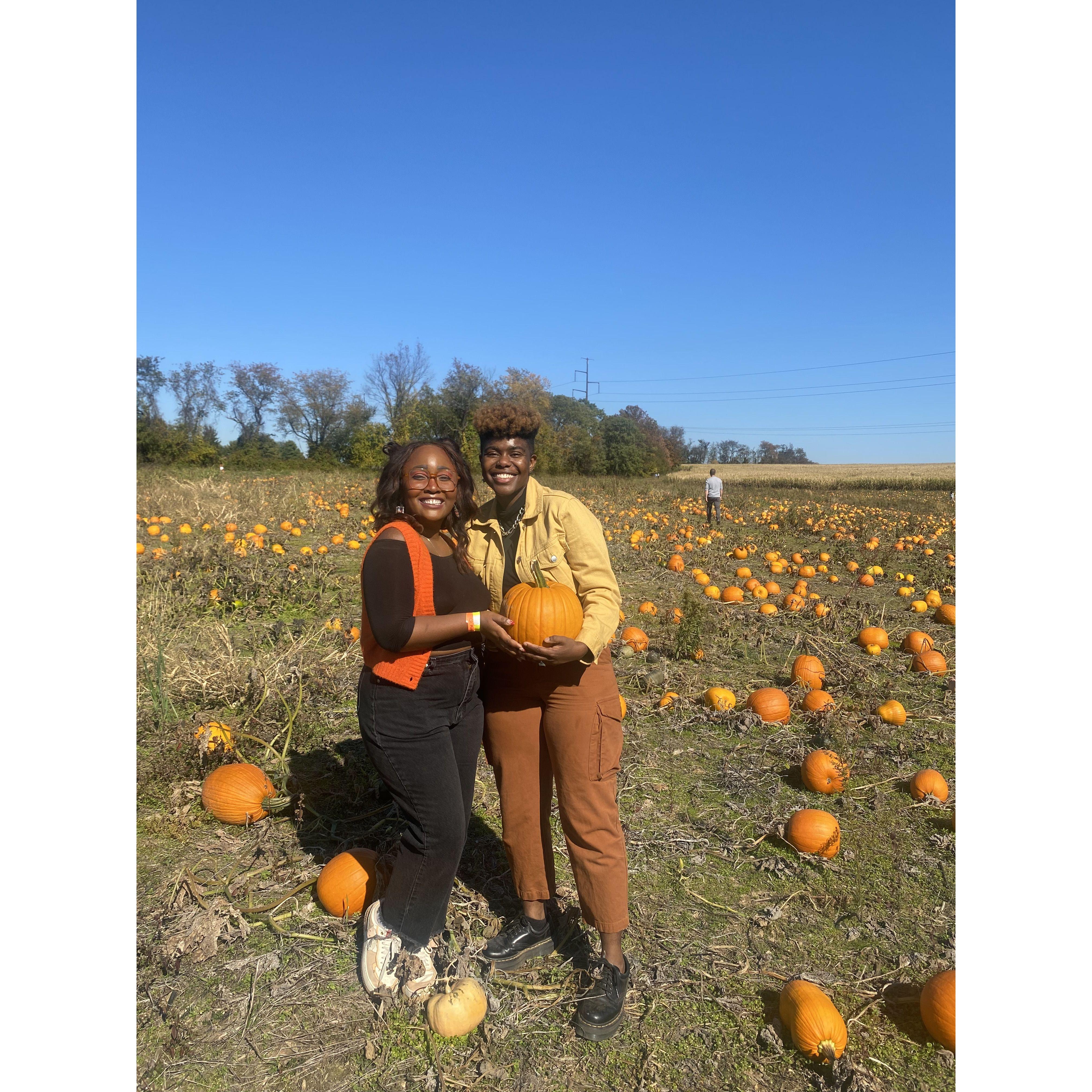 One of our favorite fall traditions is going to a pumpkin patch.