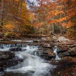 Ricketts Glen State Park