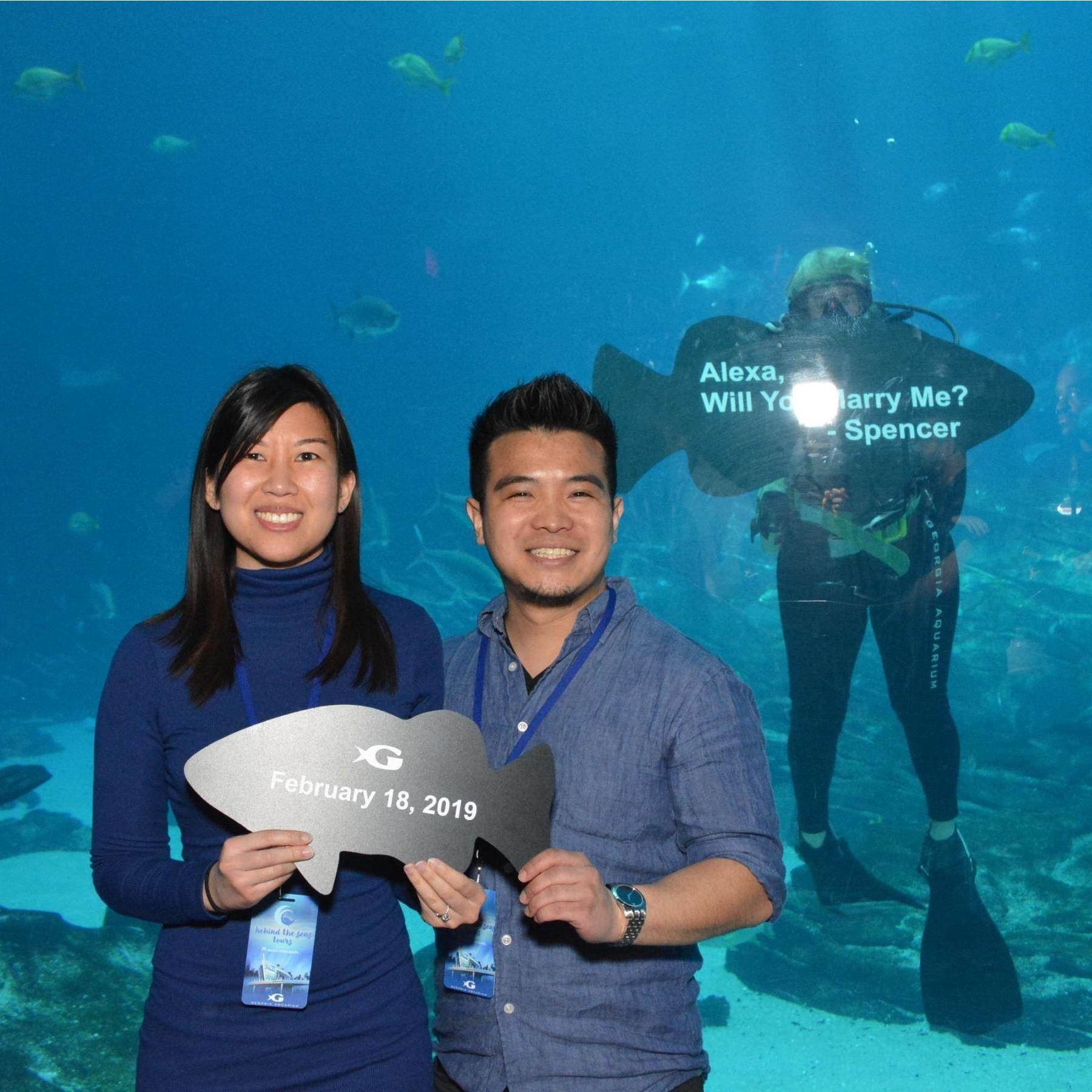 Our proposal at the Georgia Aquarium, with assistance by the scuba divers and the whale sharks! (February 2019)
To watch the proposal, copy and paste the following link: https://youtu.be/EPNZ25wqqT8