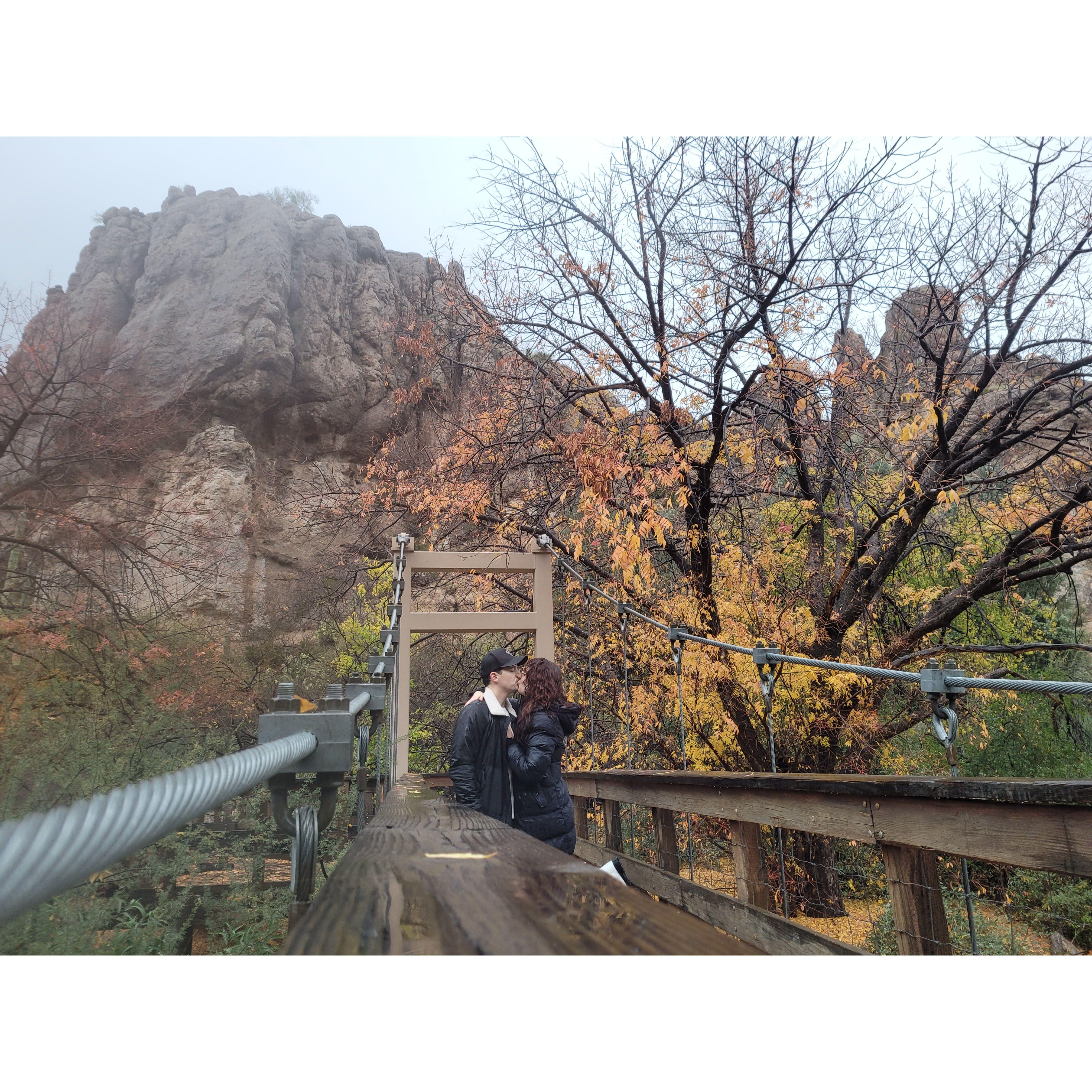 December 2022: Back to the Boyce Thompson Arboretum for some rainy day leaf peeping!