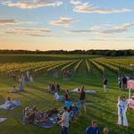 Wölffer Estate Vineyard