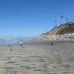 Moonlight State Beach