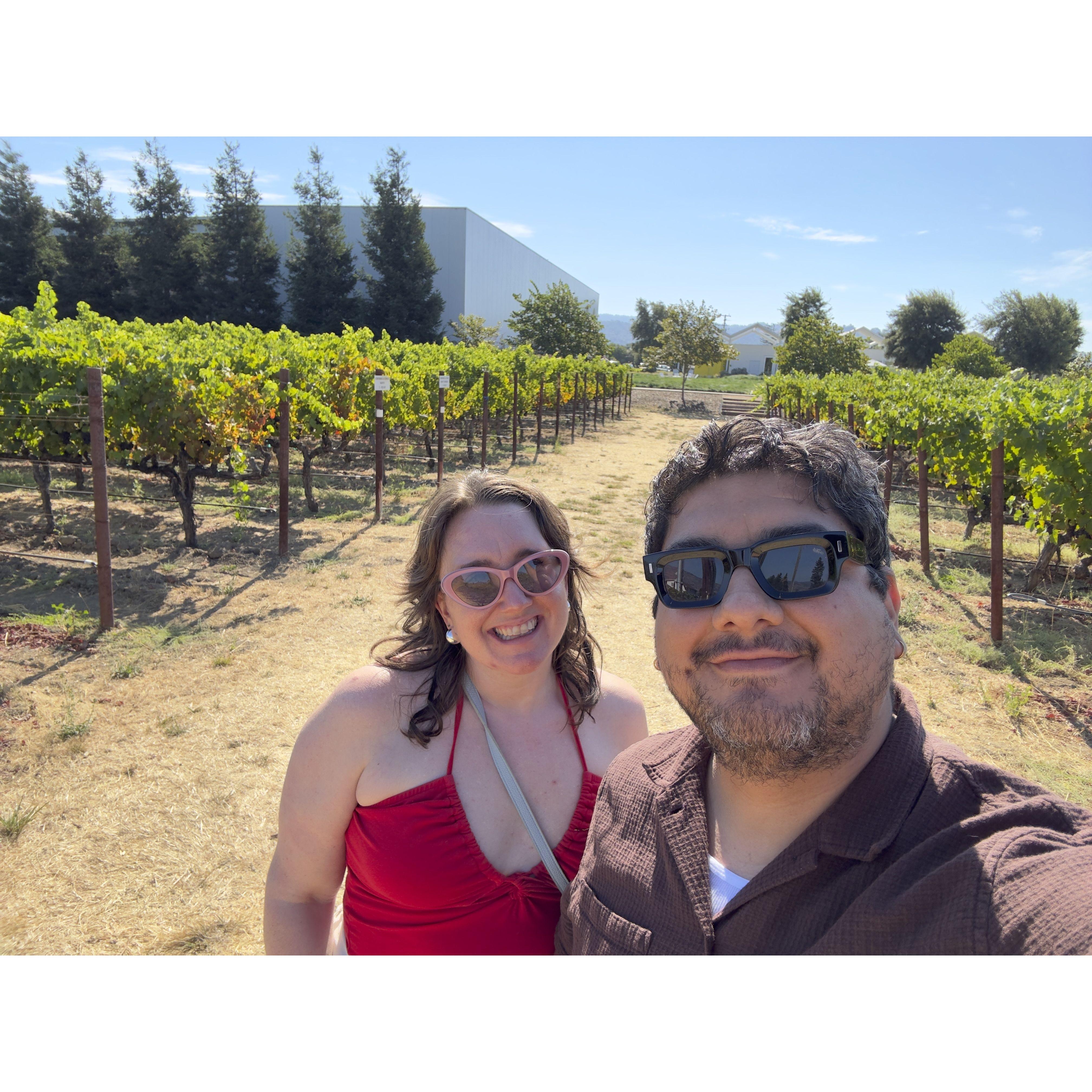 Ashes and Diamonds winery in Napa Valley