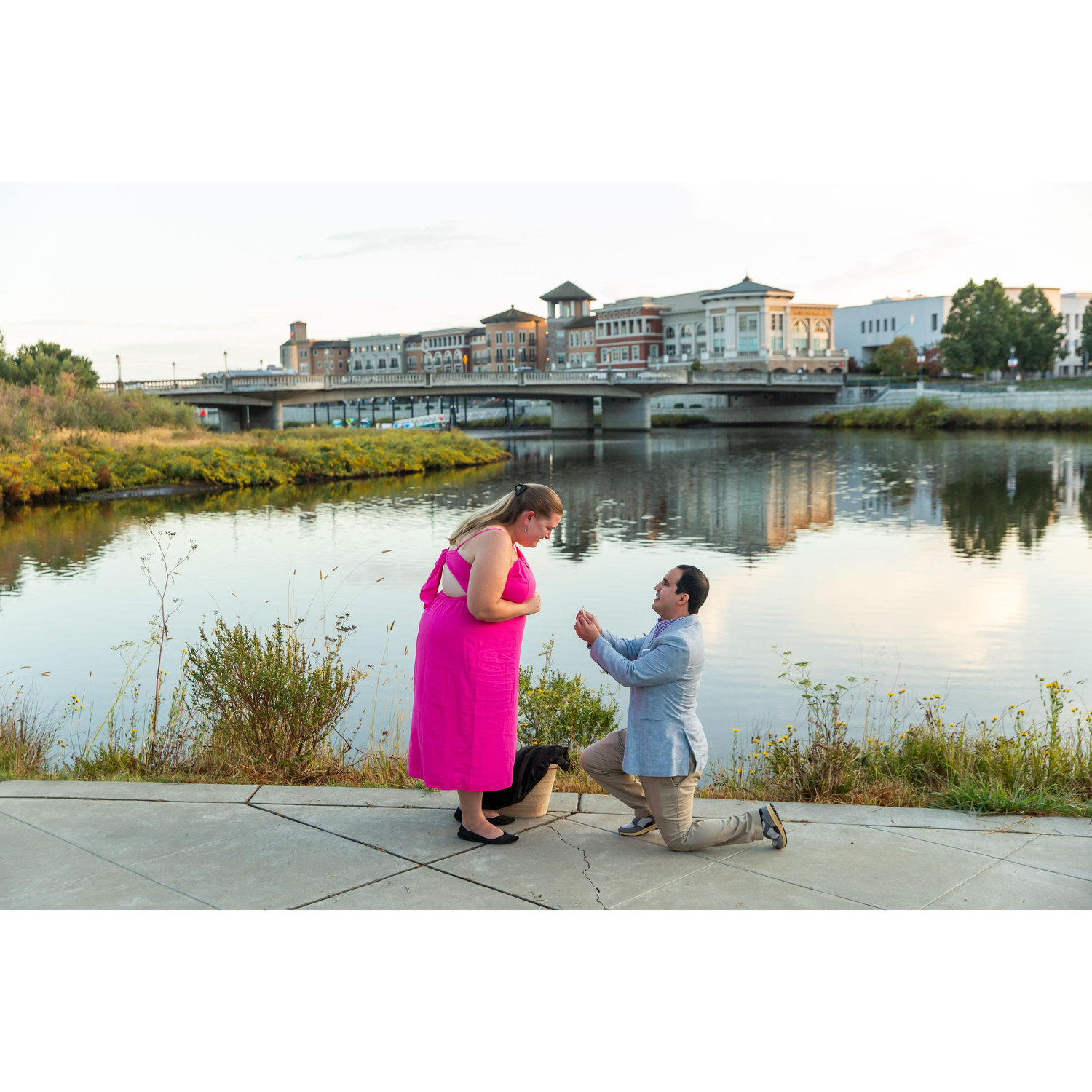 Proposal