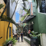 El Tiburón Sayulita