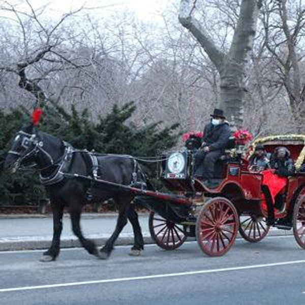 Romantic Carriage Ride in Central Park