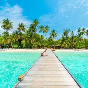 Honeymoon Fund