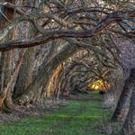 Wye Island NRMA