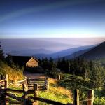 Mount Mitchell State Park