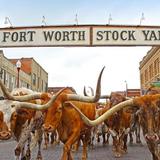 Fort Worth Stockyards