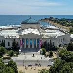 Shedd Aquarium