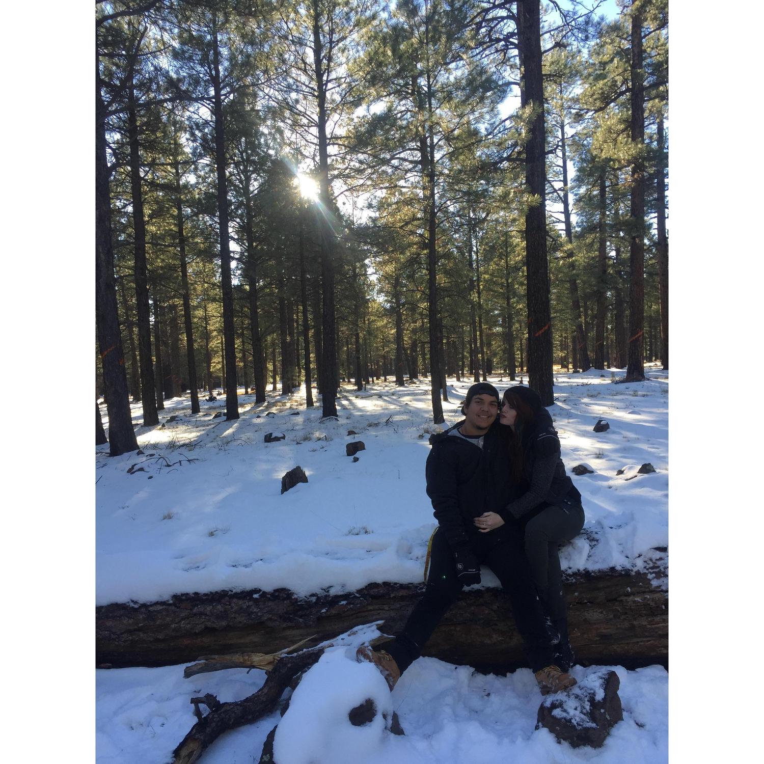 Flagstaff 2016. We only ate shit sledding twice that day. Not too shabby!