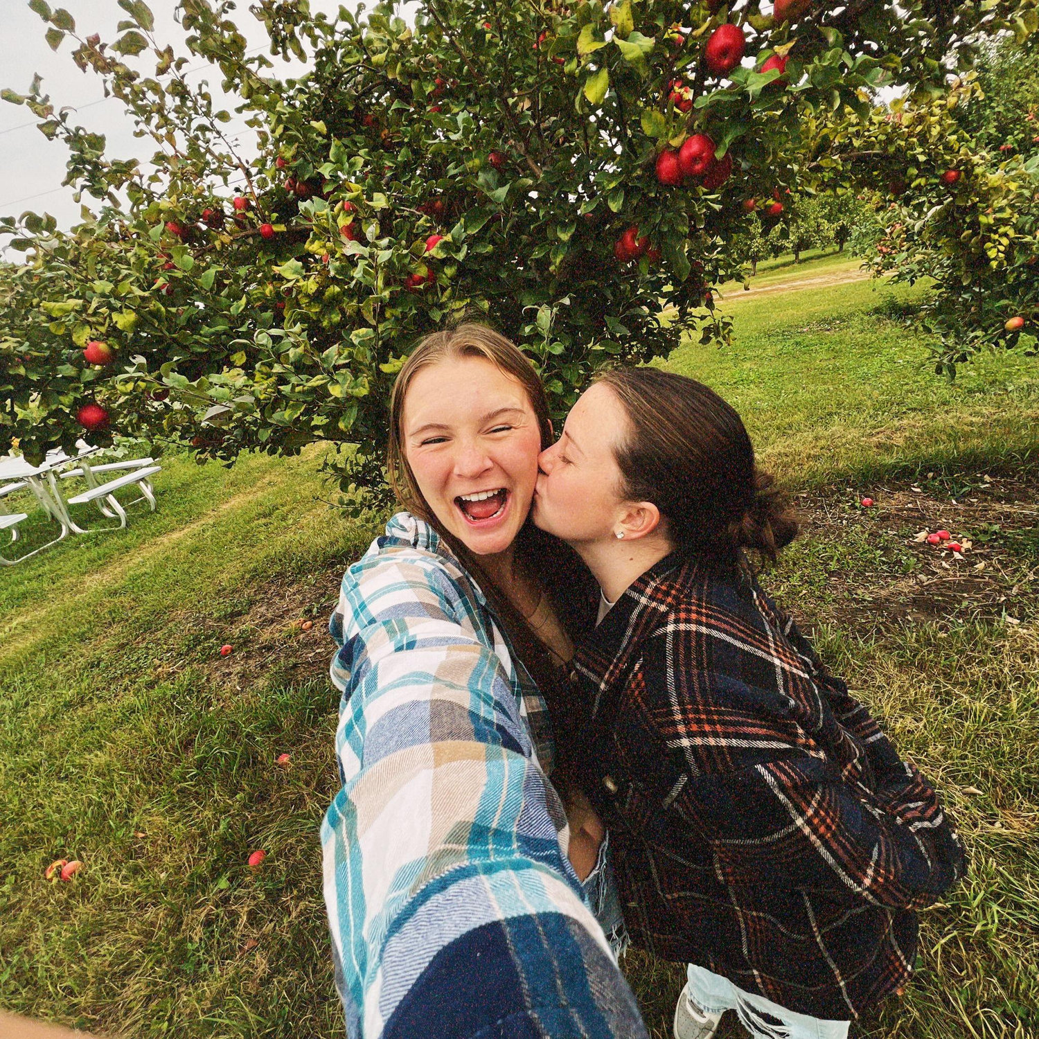 September 2023: Second annual trip to an apple orchard! This was Trumps Orchard in Faribault, MN!