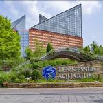 Tennessee Aquarium
