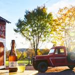 Wayside Cider & Taphouse
