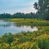 Buffalo Creek Forest Preserve