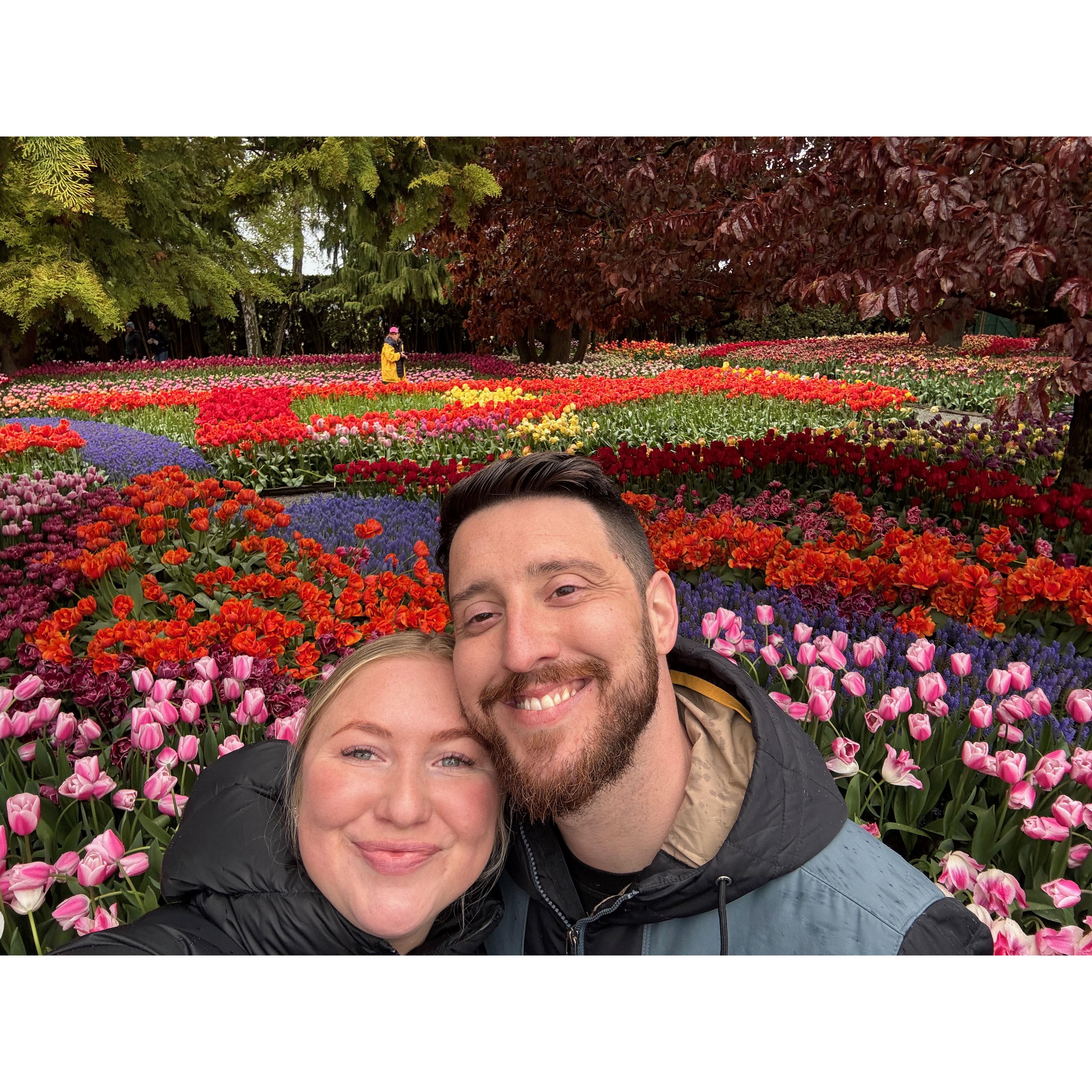 Tulip Festival