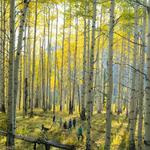 Strawberry Lane Trail