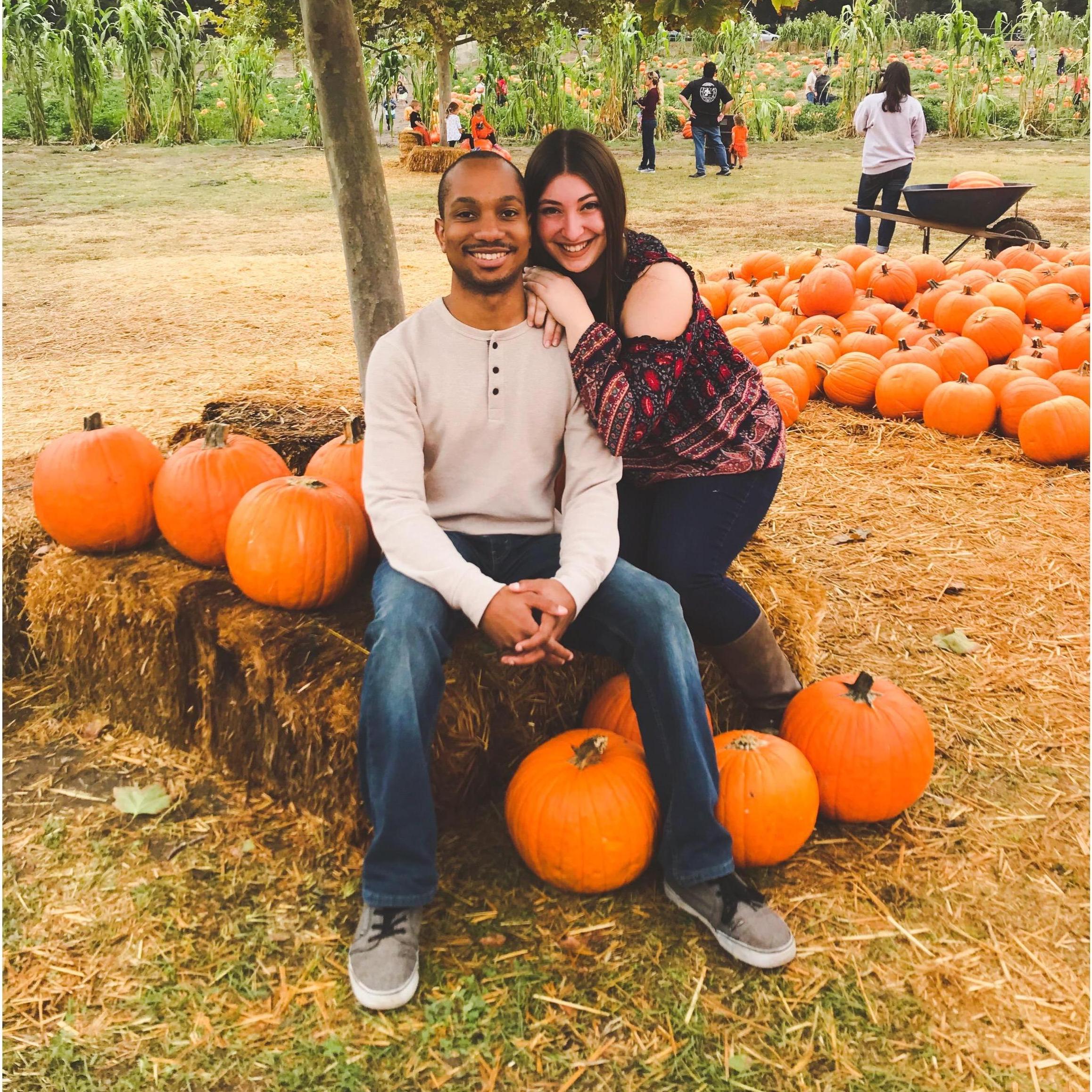 PUMPKIN PATCH