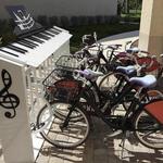 Bike Rentals/Pinellas Trail