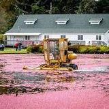Cranberry Museum