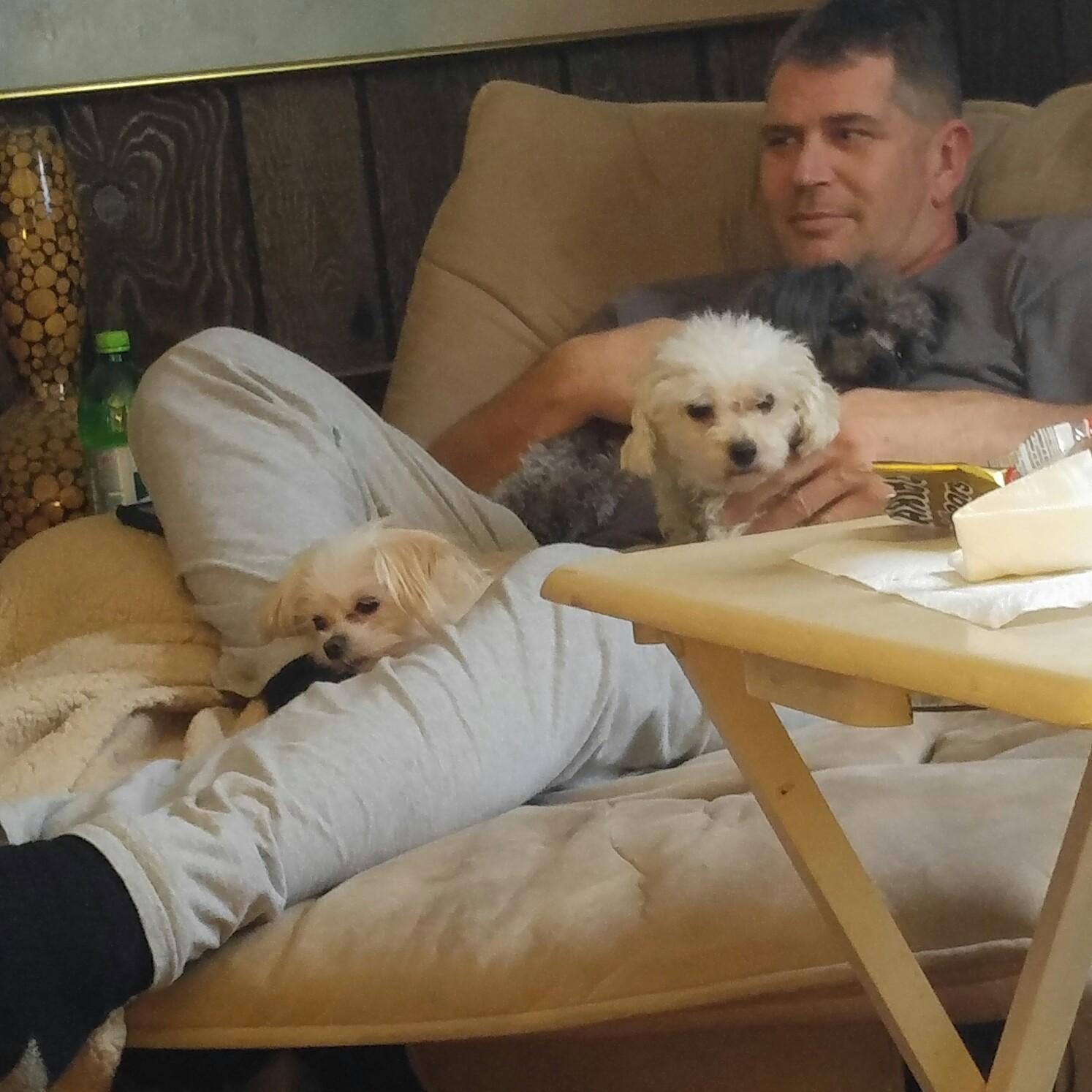 The dogs love him