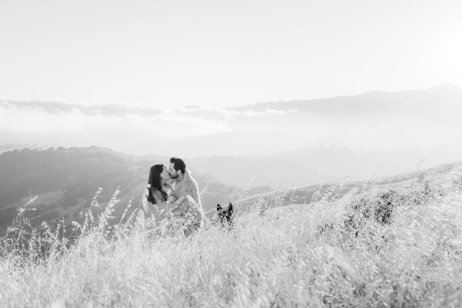 The Wedding Website of Whitney Tolar and Anthony Howley