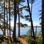 Shark Reef Sanctuary