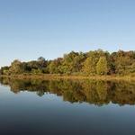 Lake Artemesia