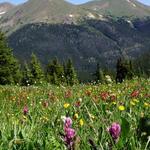 Butler Gulch Trailhead