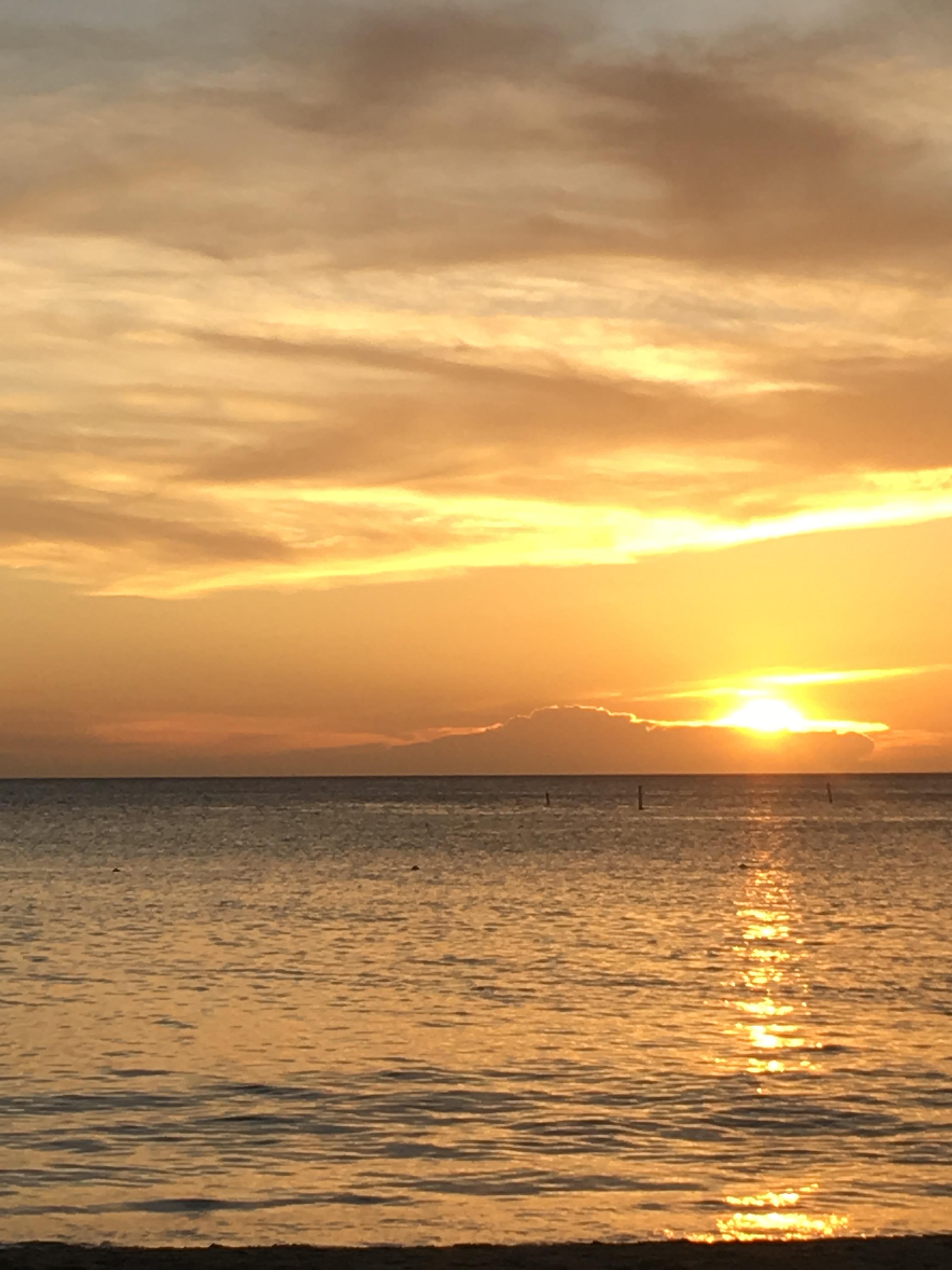 The Wedding Website of Abby Rayo and Joel Flores