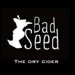 Bad Seed Cider Taproom